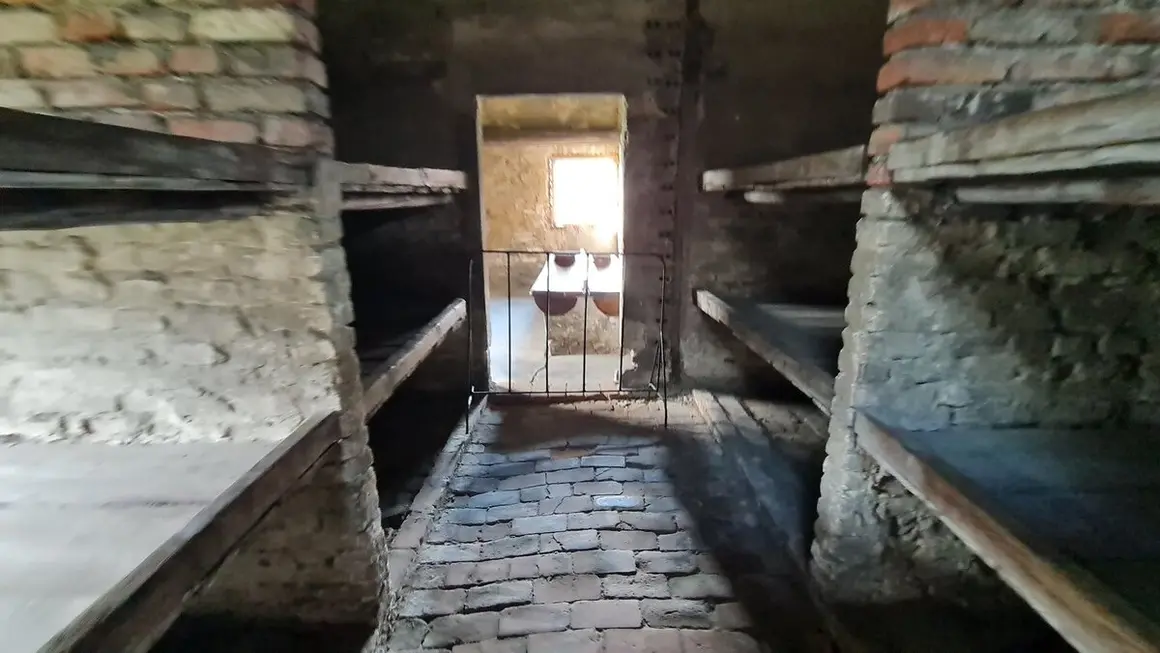 Campo de concentración 12