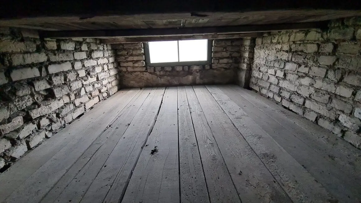 Campo de concentración 14