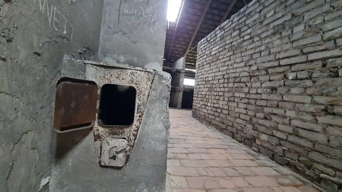 Campo de concentración 15