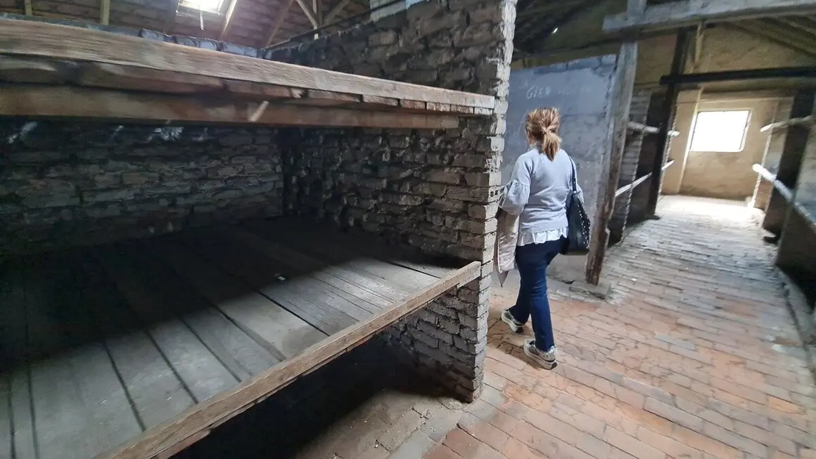Campo de concentración 19