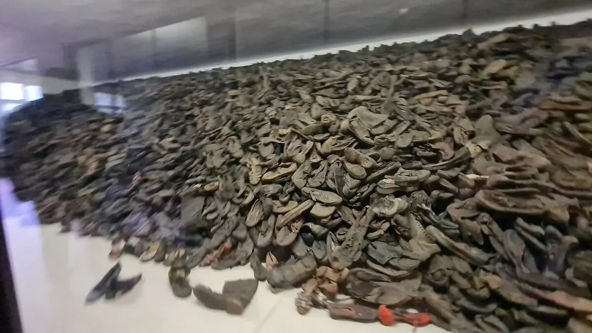 Campo de concentración 151