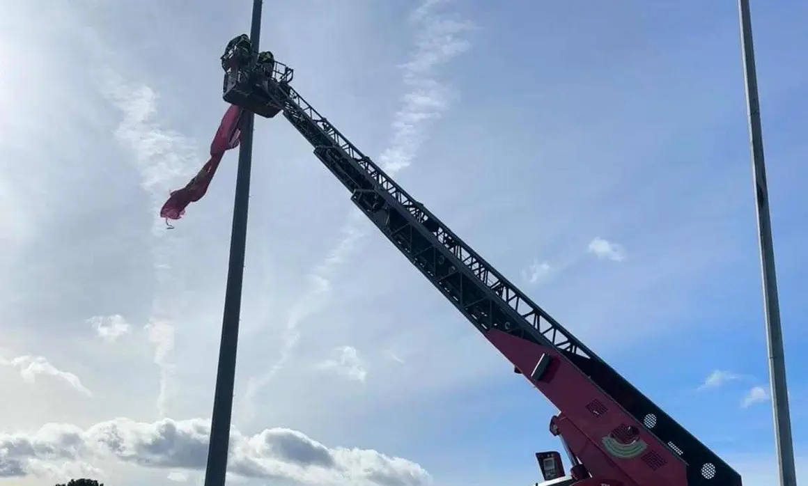 Bomberos 3
