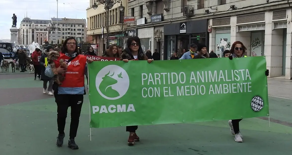nO A LA CAZA 3