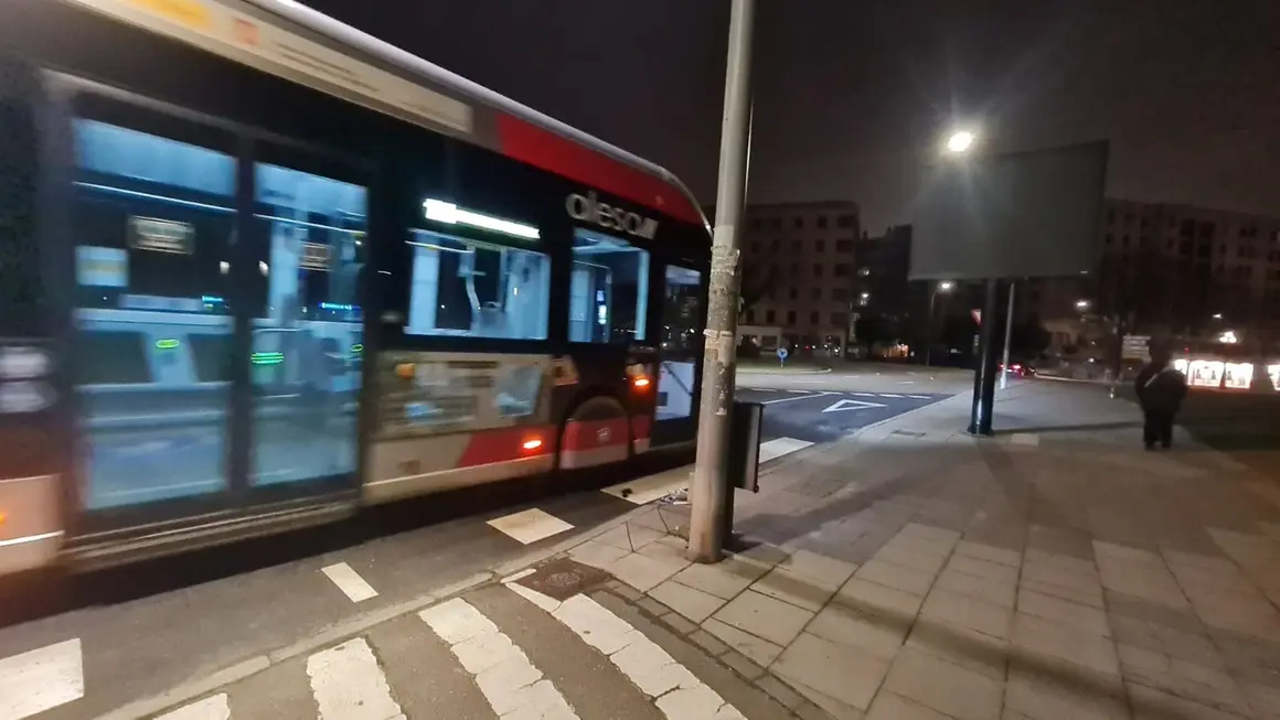 Buses servicios mínimos 13