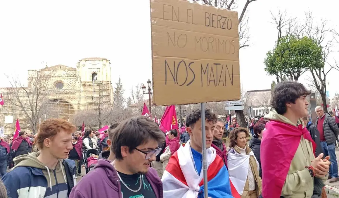 Bierzo solo