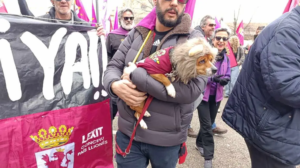 perro leon