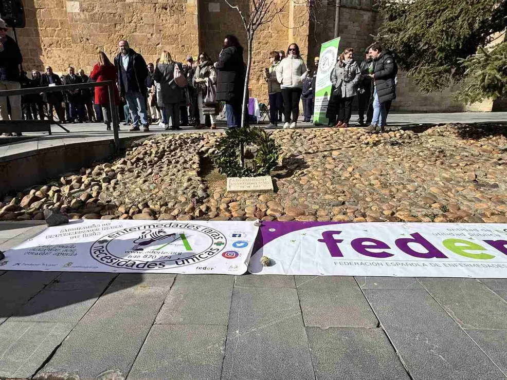 Enfermedades raras 6