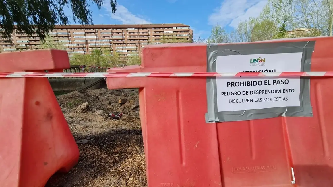 La caída de un árbol aplasta uno de los miradores en el paseo del río Bernesga en León capital.10