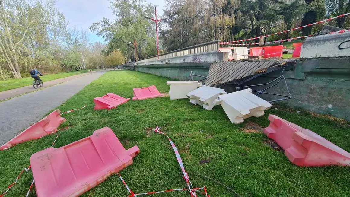 La caída de un árbol aplasta uno de los miradores en el paseo del río Bernesga en León capital.7