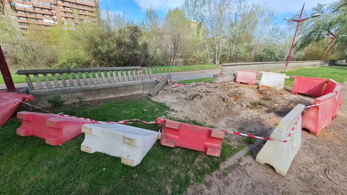 La caída de un árbol aplasta uno de los miradores en el paseo del río Bernesga en León capital.3