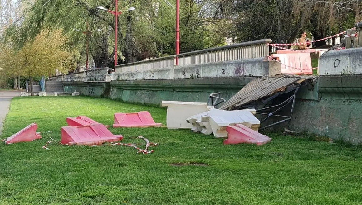 La caída de un árbol aplasta uno de los miradores en el paseo del río Bernesga en León capital.