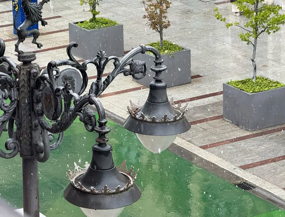 WhatsApp Image 2025-04-16 at 10.43.25