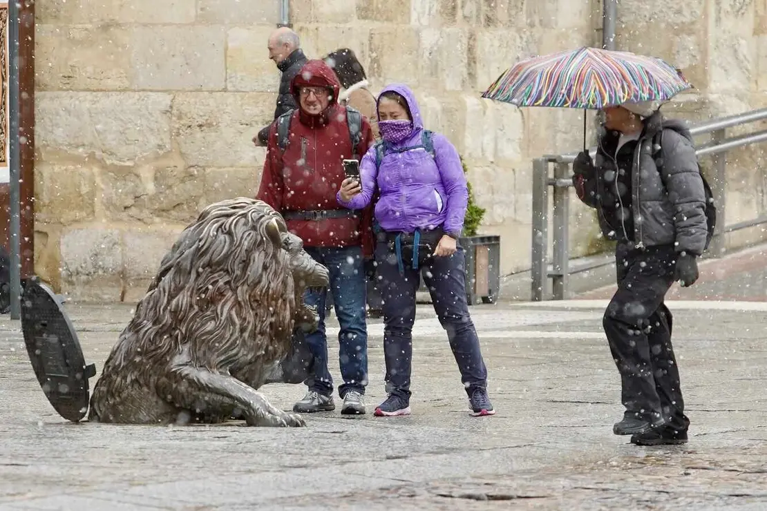 La cota de nieve ha caído este Miércoles Santo por debajo de los mil metros y los copos se han dejado ver en todo El Bierzo y en León capital. Fotos: Campillo | César Sánchez