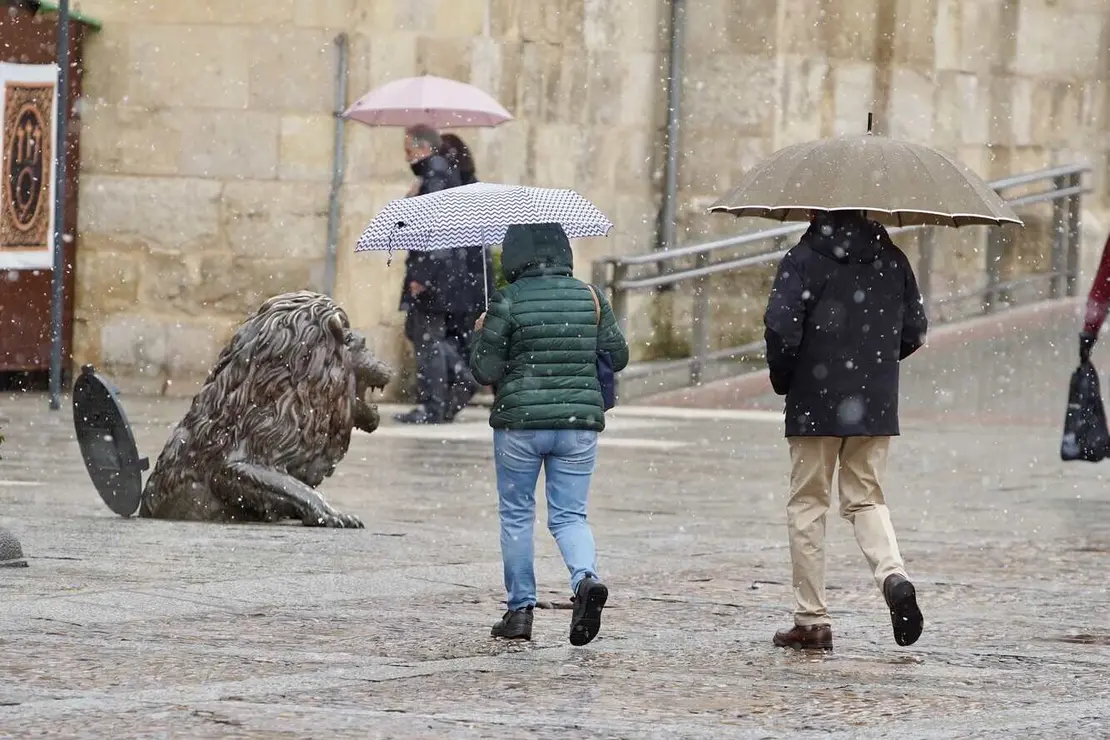 Nieve en León (2)
