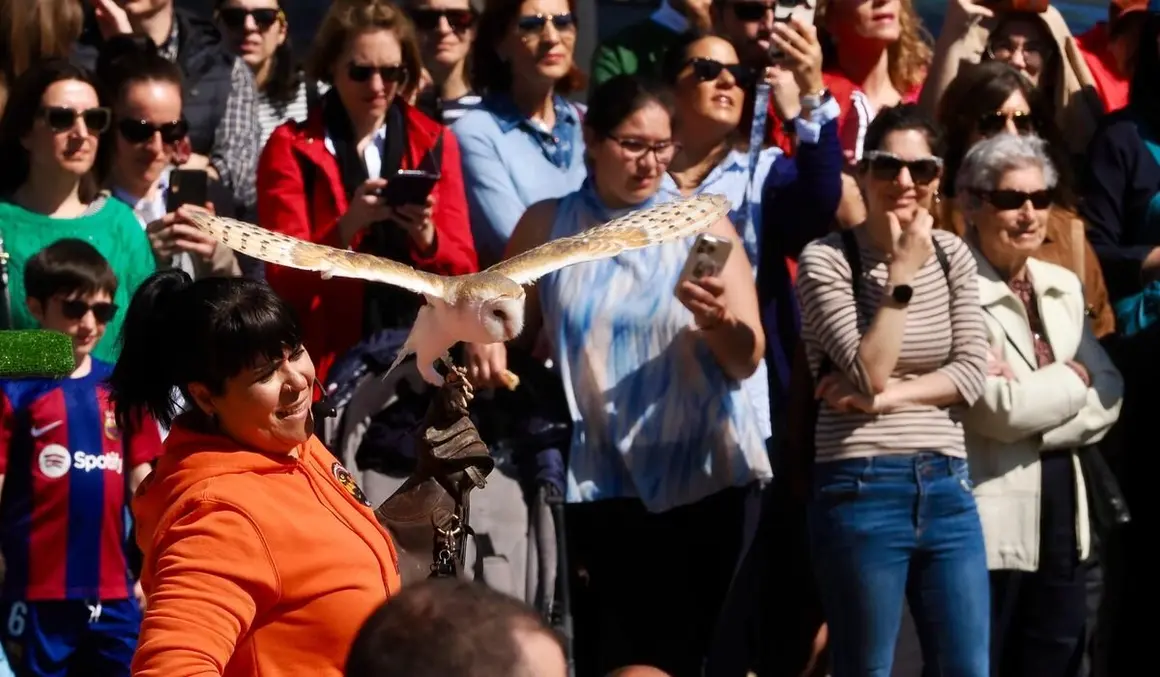 Jornada de puertas abiertas del Parlamento Autonómico, con motivo del Día de la Comunidad.