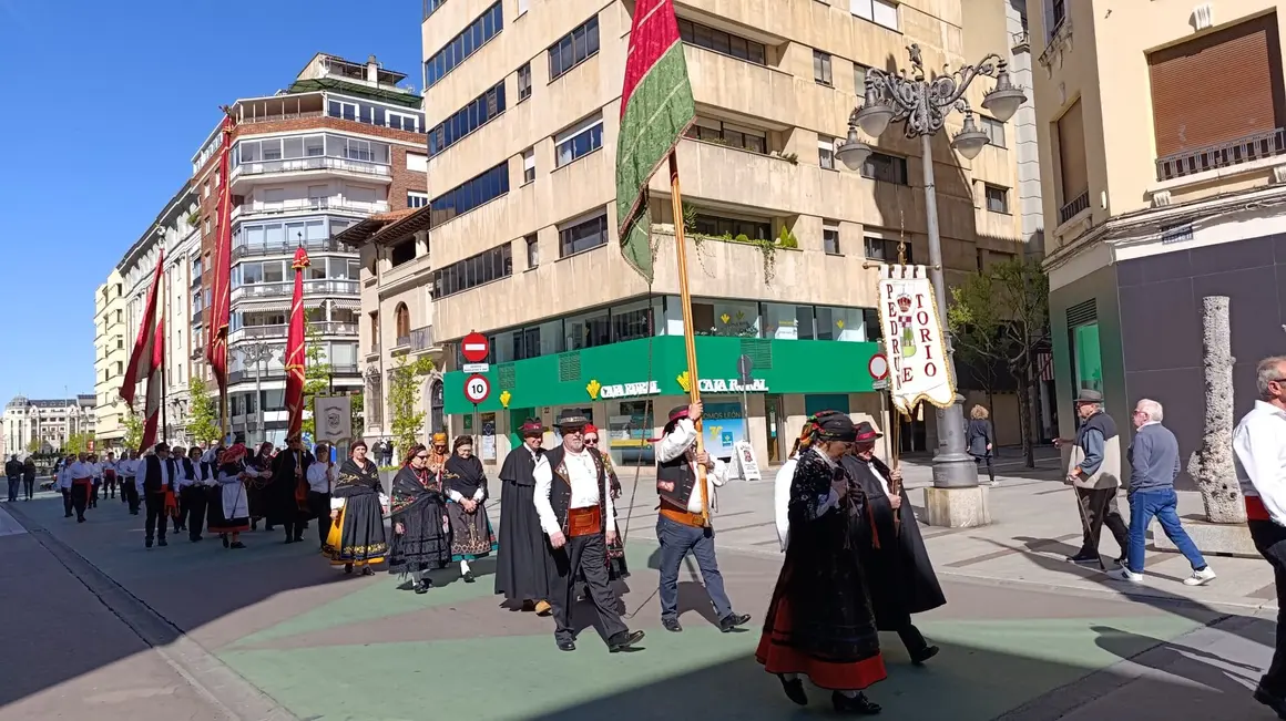 Los pendones de León se preparan para la ceremonia de las Cabezadas.