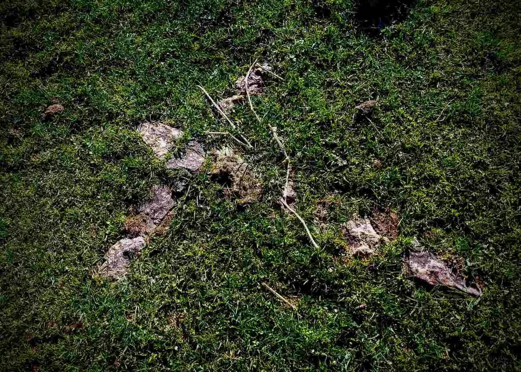 Exhumaciones realizadas durante los trabajos acometidos en Busdondo (3)