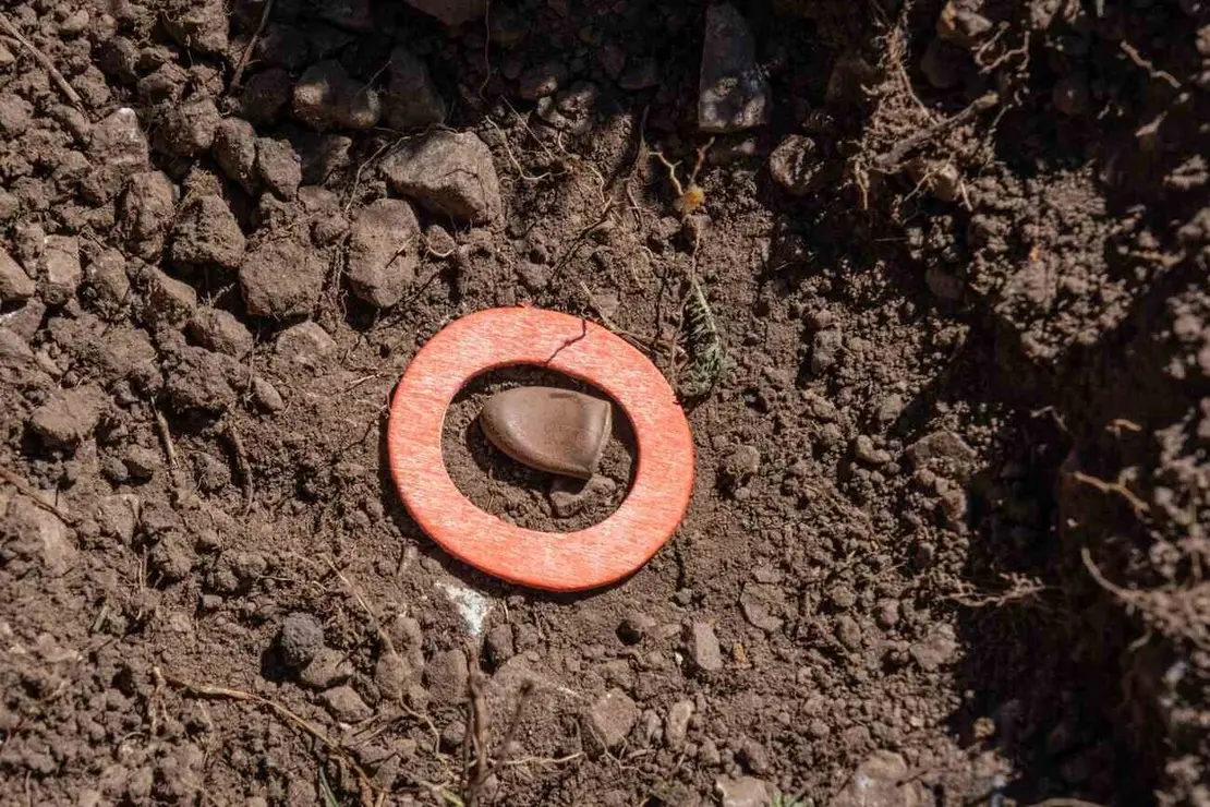 Exhumaciones realizadas durante los trabajos acometidos en Busdondo (12)