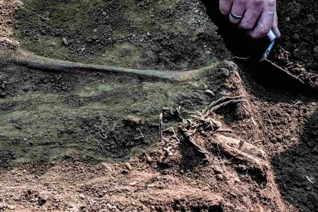 Exhumaciones realizadas durante los trabajos acometidos en Busdondo (46)