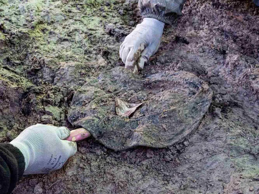 Exhumación realizada en la localidad de Sena de Luna (2)