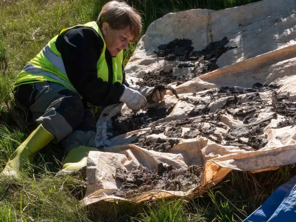 Exhumación realizada en la localidad de Sena de Luna (6)