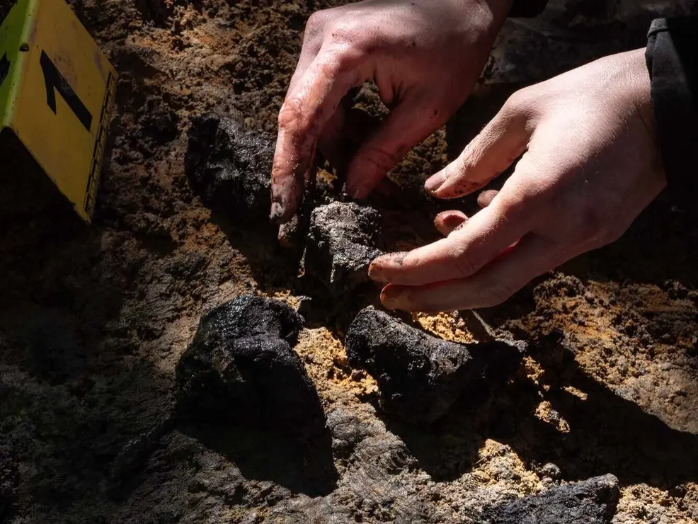 Exhumación realizada en la localidad de Sena de Luna (8)