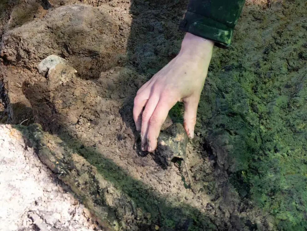 Exhumación realizada en la localidad de Sena de Luna (9)