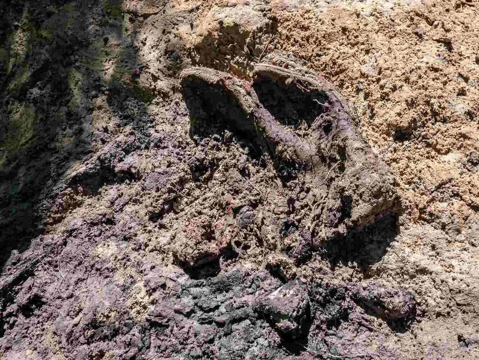 Exhumación realizada en la localidad de Sena de Luna (11)