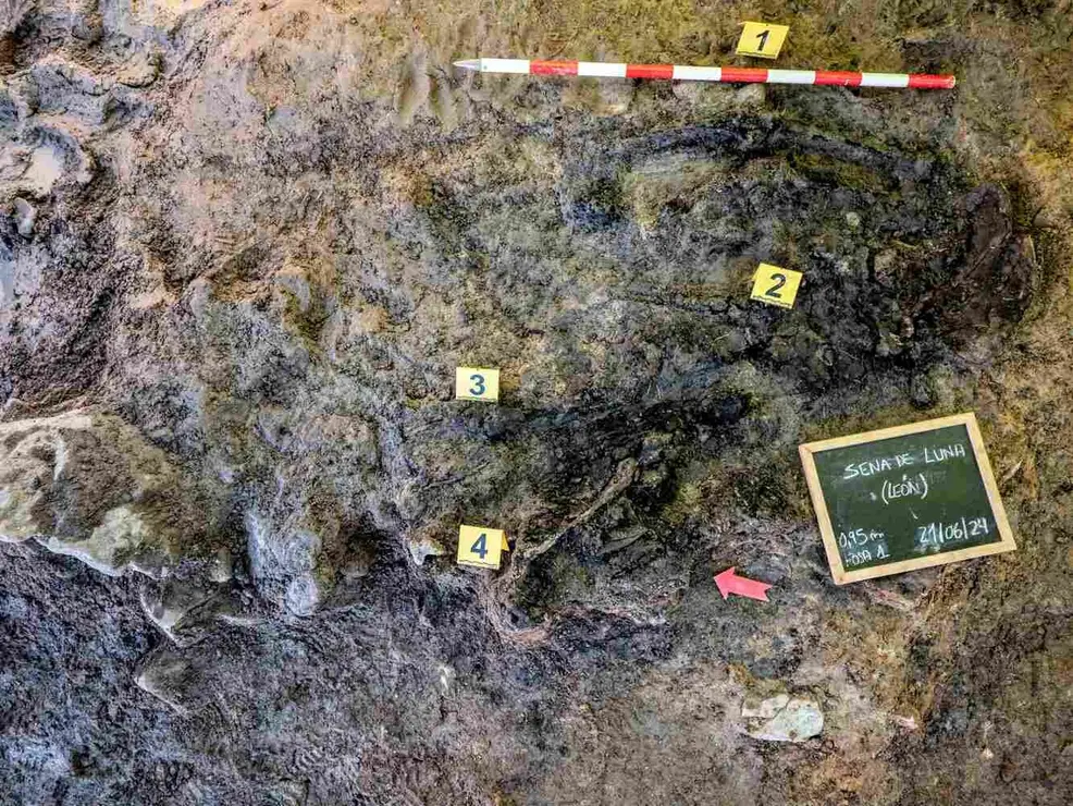 Exhumación realizada en la localidad de Sena de Luna (12)