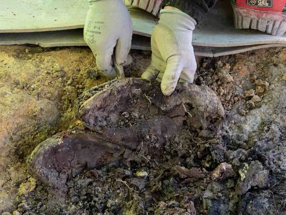 Exhumación realizada en la localidad de Sena de Luna (13)