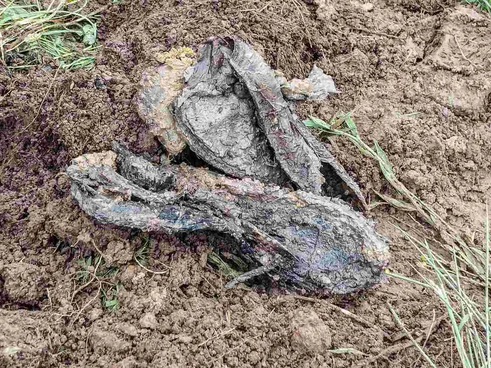 Exhumación realizada en la localidad de Sena de Luna (26)