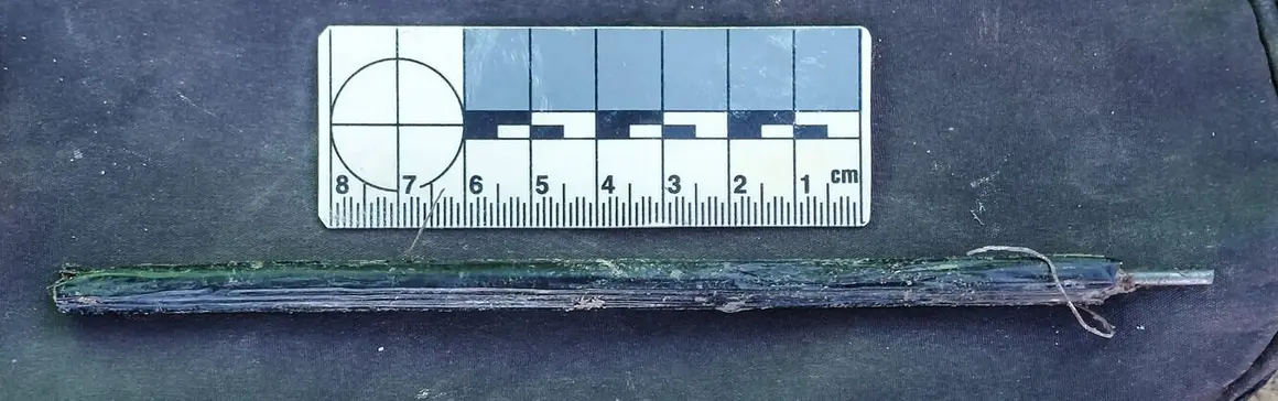 Exhumación realizada en la localidad de Sena de Luna (45)