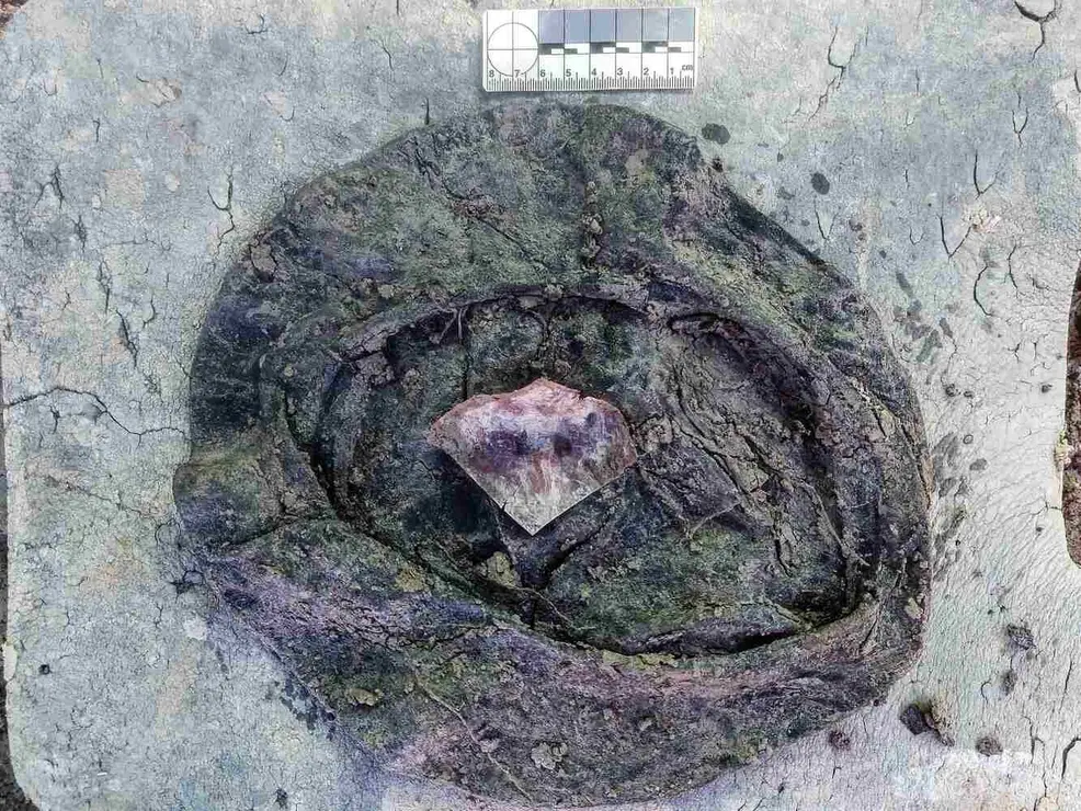 Exhumación realizada en la localidad de Sena de Luna (46)