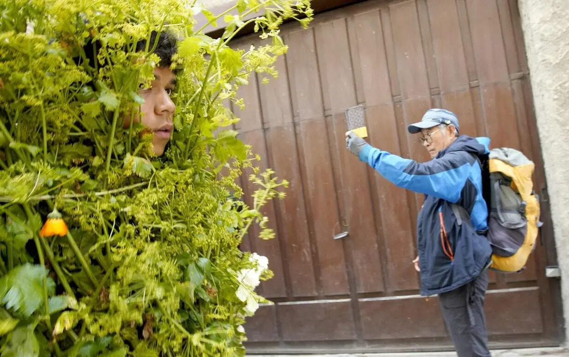 Villafranca del Bierzo, celebra su tradicional Fiesta de los Maios, declarada Fiesta de Interés Turístico Provincial Foto César Sánchez (5).jpg