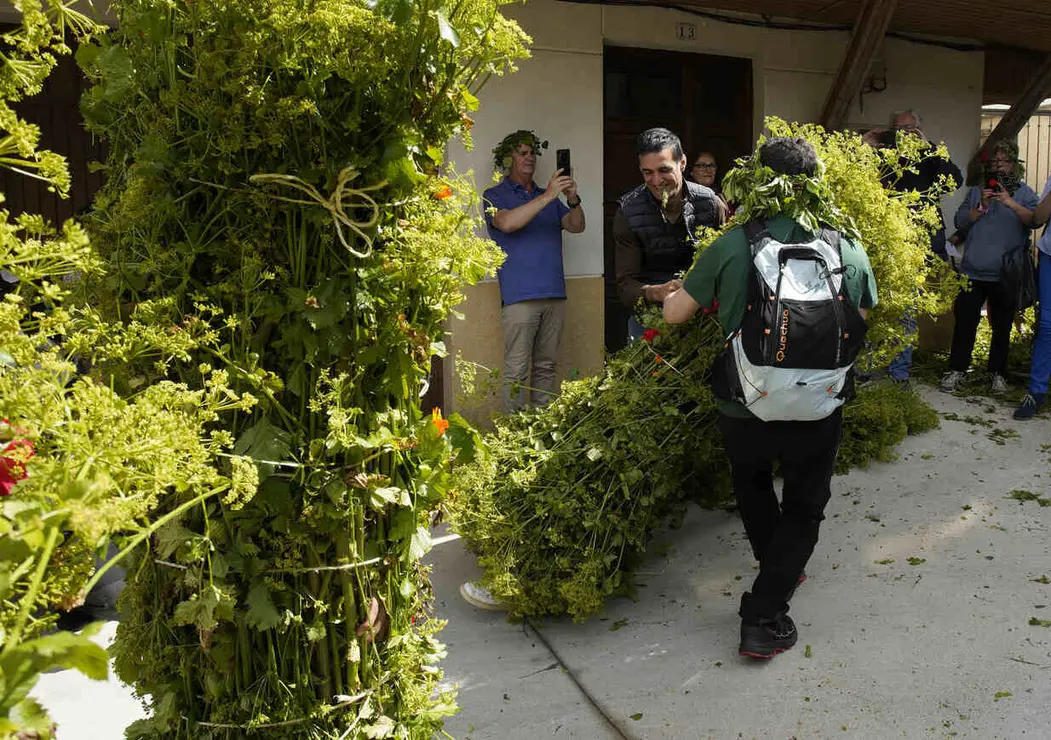 Villafranca del Bierzo, celebra su tradicional Fiesta de los Maios, declarada Fiesta de Interés Turístico Provincial Foto César Sánchez (12).jpg