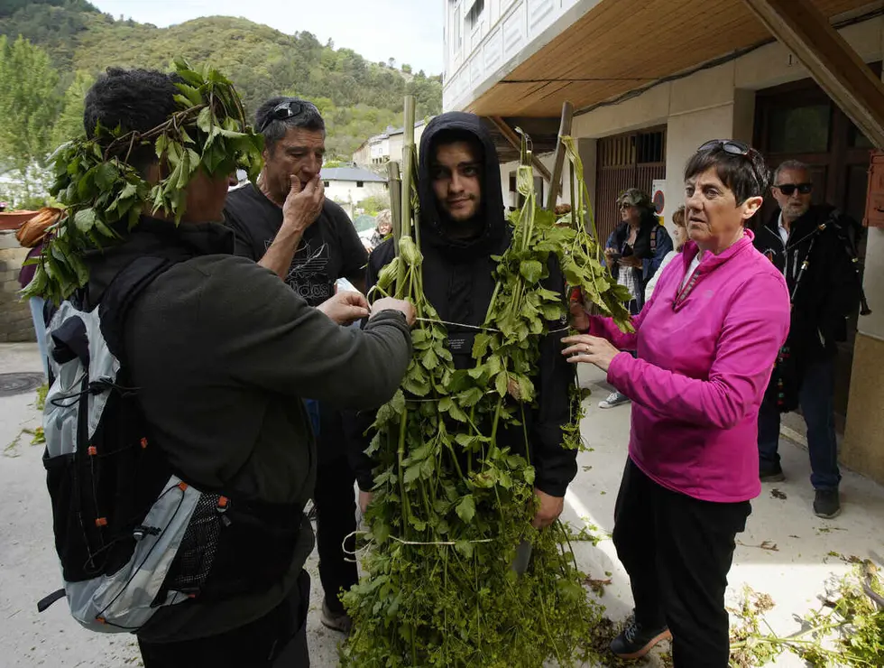 Villafranca del Bierzo, celebra su tradicional Fiesta de los Maios, declarada Fiesta de Interés Turístico Provincial Foto César Sánchez (15).jpg