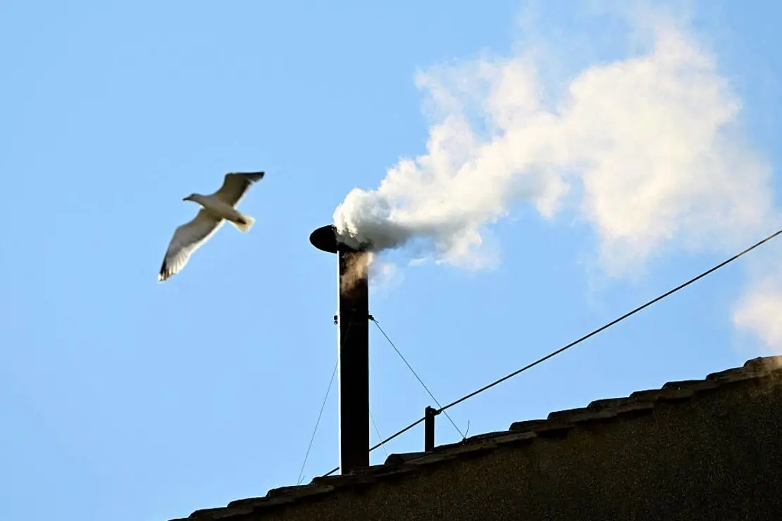 Una gaviota sobrevuela la chimenea con el humo blanco.