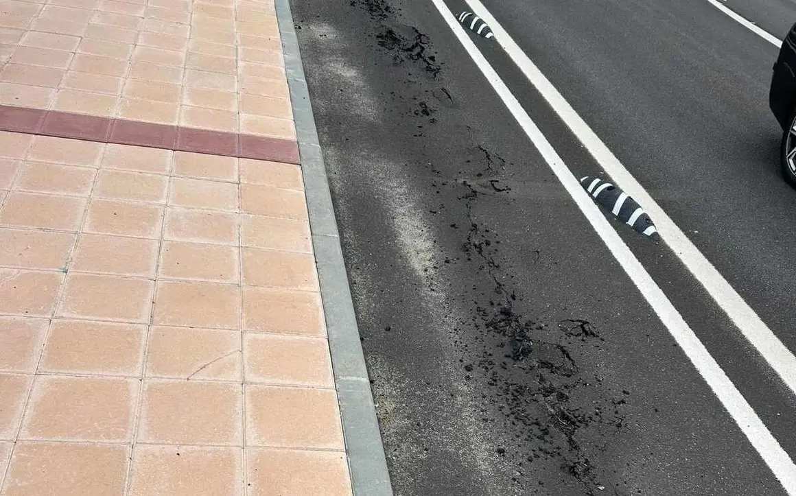 carril bici 2