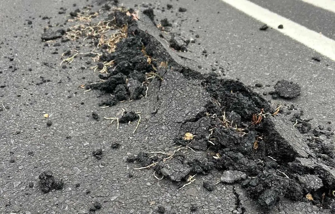 La solución a las rotura del carril bici en un vial de 3,7 millones es "fumigar la hierba" y "aplastar las zonas sobreelevadas".