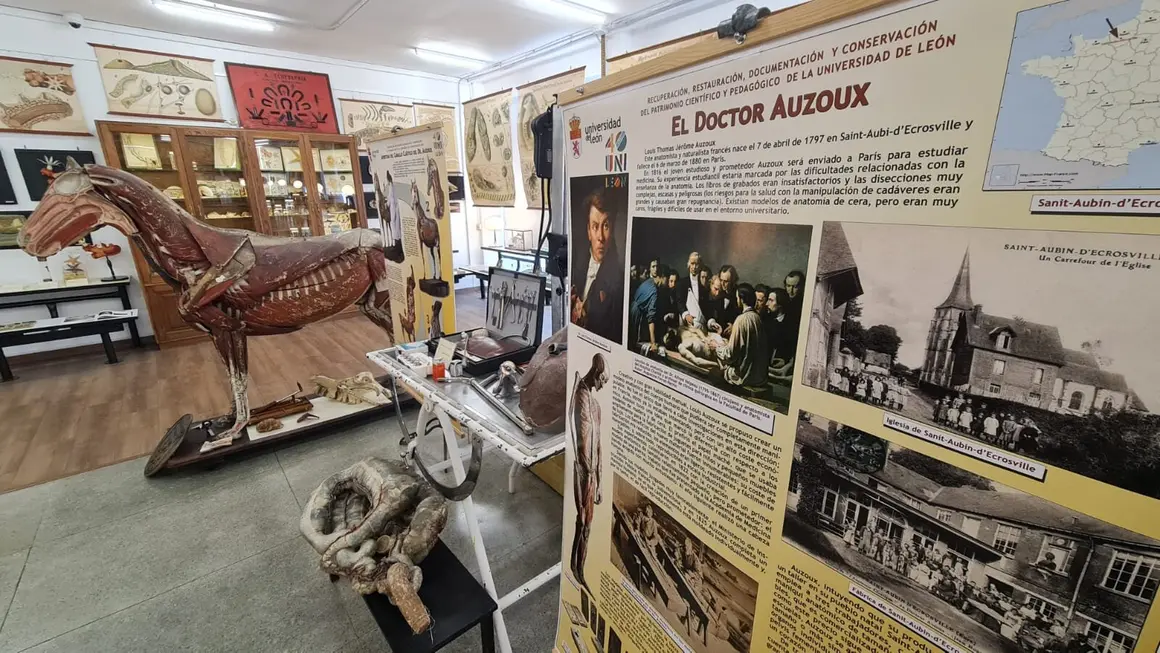 Museo ULE 17