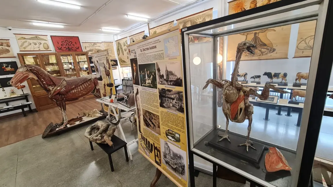 Museo ULE 122
