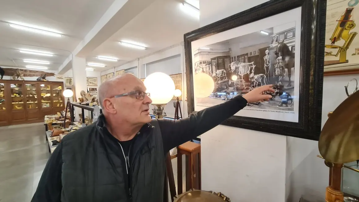El Museo de las Colecciones de la Universidad de León (Mule) se ha consolidado como uno de los espacios más singulares del panorama museístico nacional.