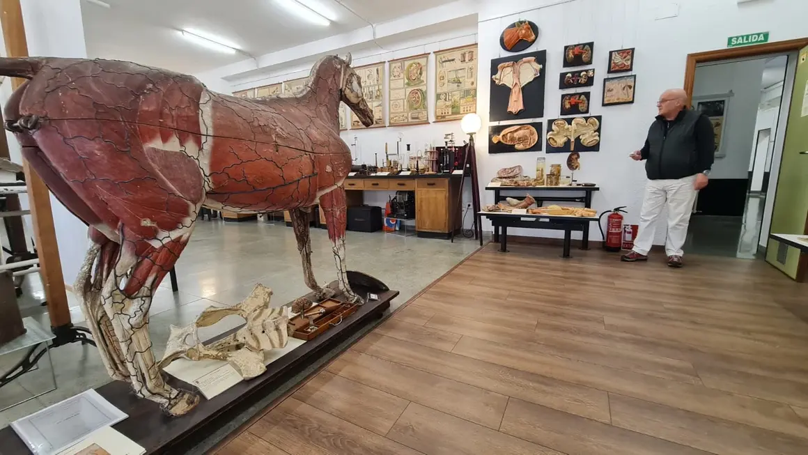 Museo ULE 123