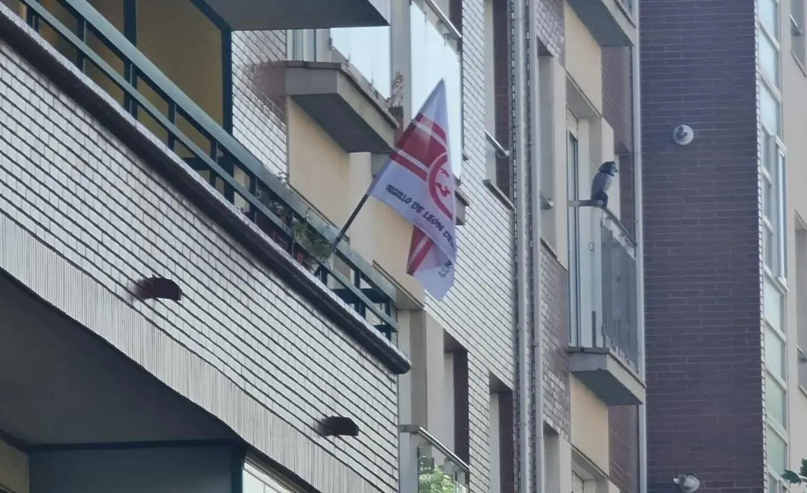 Banderas Cultural 1