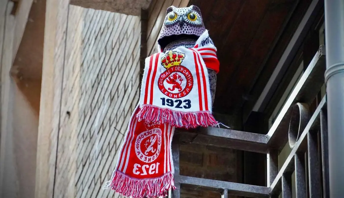 Banderas Cultural 17