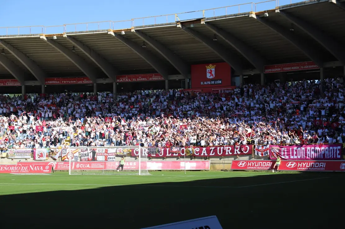 Aficion 104