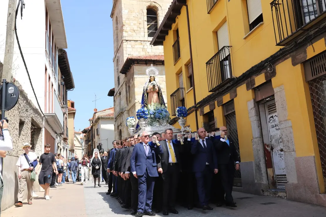 Alegría 16