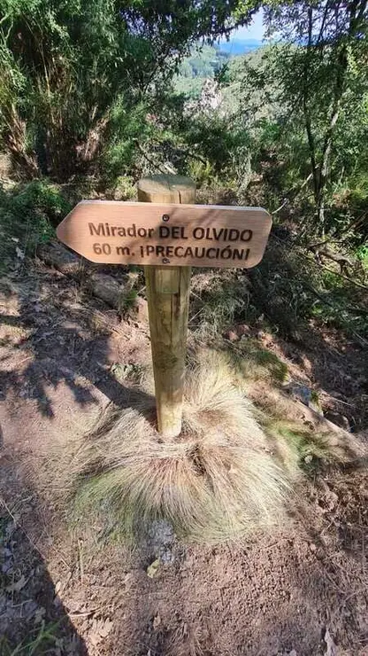 Señalización 6