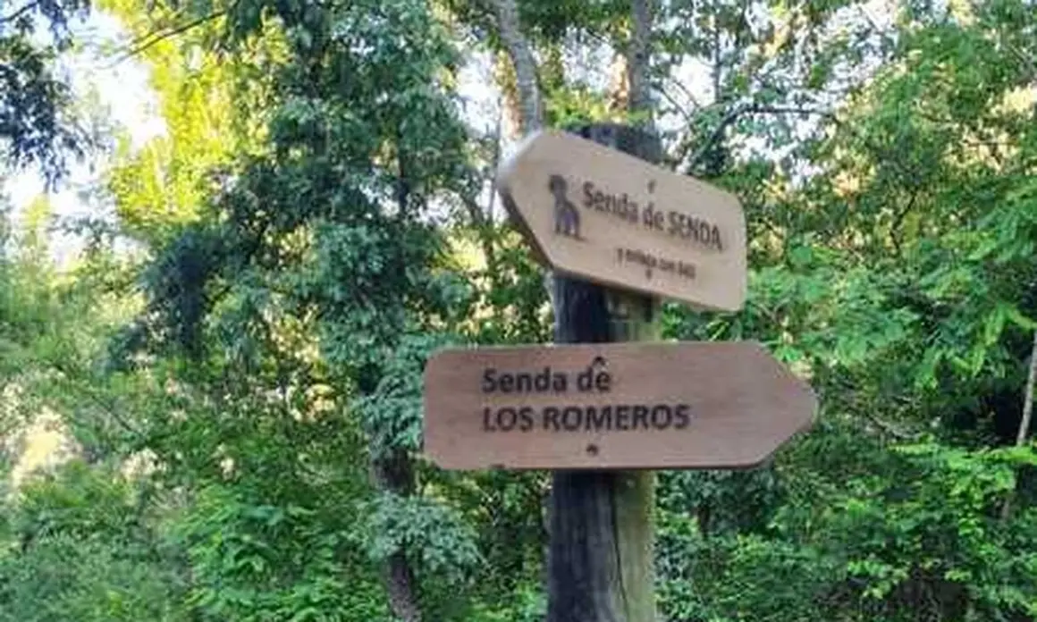 Señalización 11