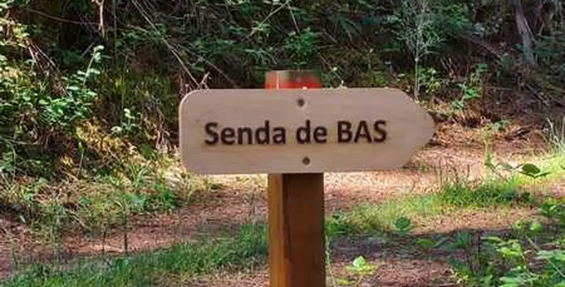 Señalización 71